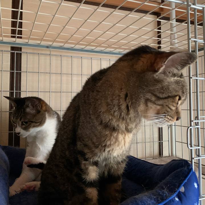 791d78b2 f96d 4bed a69f 172d7b87b37c 1594429559742