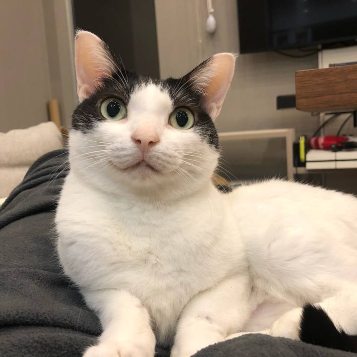 791d8517 1006 452f 9f84 f734056a91d7 1645740890753