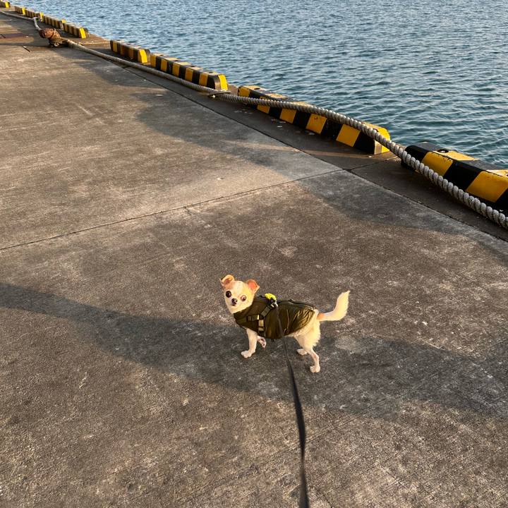 791d896b 070f 4a6d 8bc0 12acecc93584 1768721548349