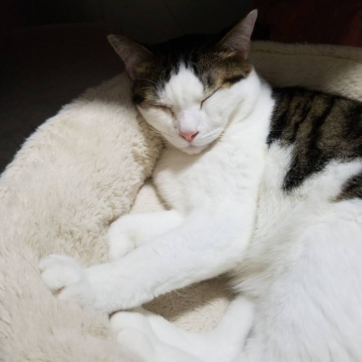 791da9e8 19de 43a3 8c8c 41a9bb96f9ee 1582803064638