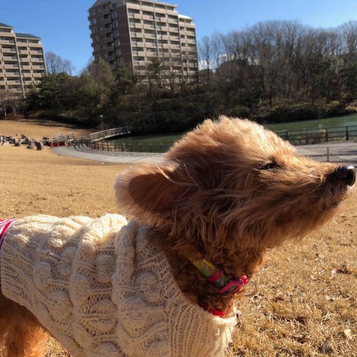 791dd0b7 3986 4254 9f97 ffa3fe6f9fd2 1549248478453