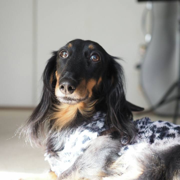 791dfb81 7f3d 4b1b 805b 36d9bfd2f172 1548997648076