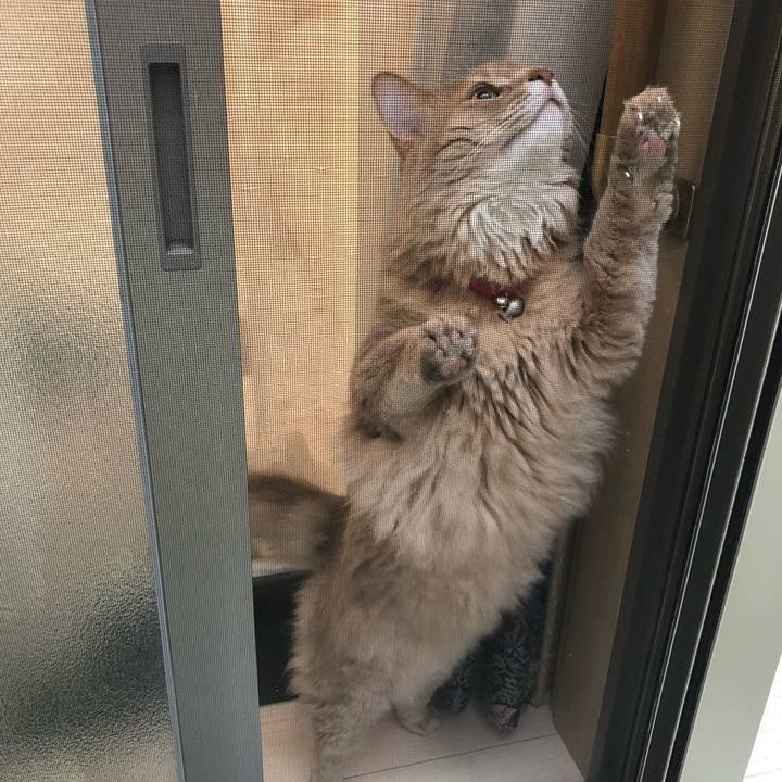 791e29c2 e196 46f9 9be1 bd862cea84a3 1594858026610