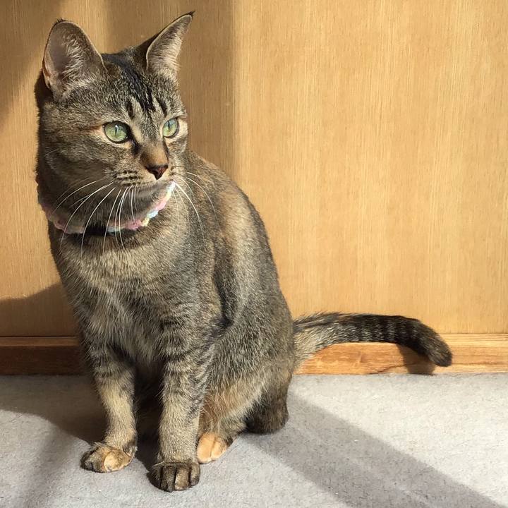 791e40b2 39ef 4023 9d62 7e333f4296eb 1615962432863