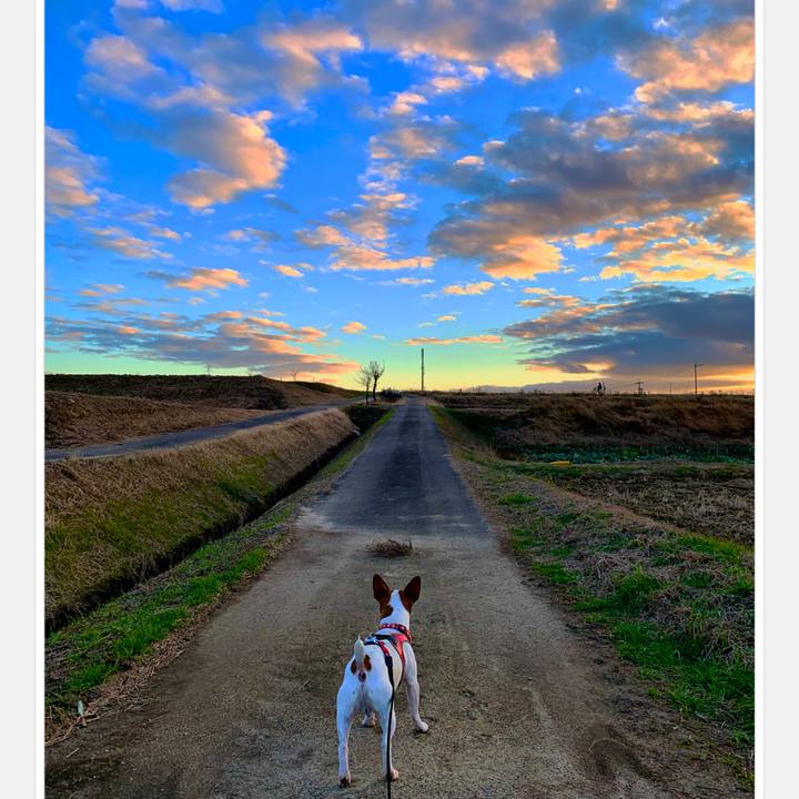 791e6069 429c 4cad af26 9c395614da6b 1578580578533