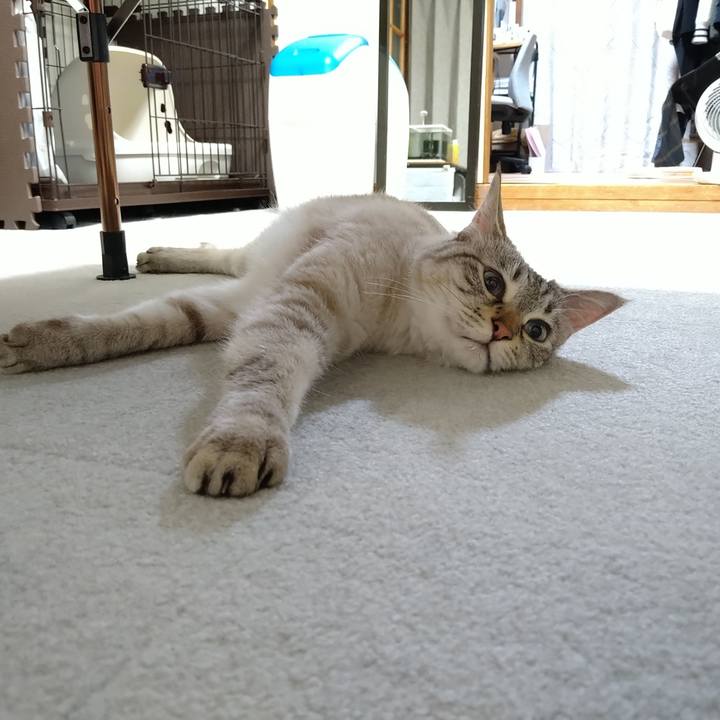 791e9241 f4a6 44be 80ae 0734aacd80b3 1719672427188