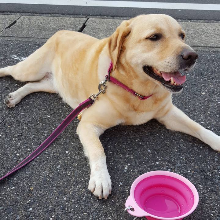 791eb0ed 54fc 4da4 a086 aa73a710da76 1529894455334