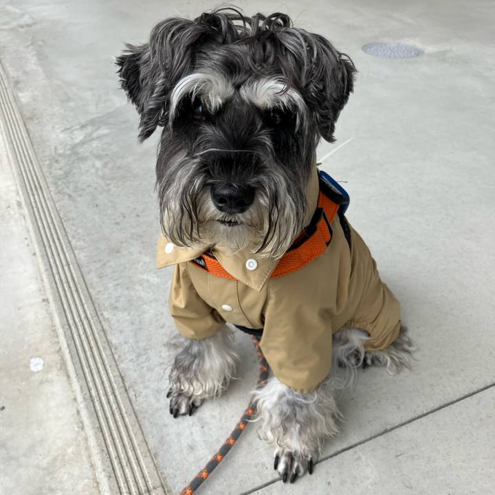 791ec702 41f2 4718 bed7 db3a0e4373a8 1726438515014