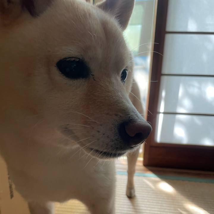 791ee023 52d0 47aa 9e95 05538c55fe2a 1663371331160