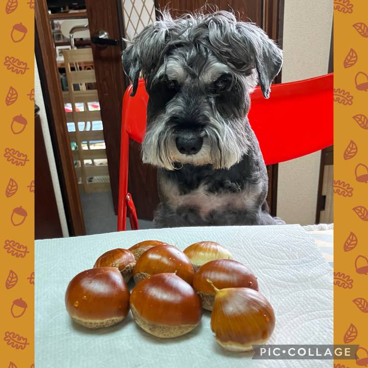 791efac7 3f78 4474 b9a9 4f38d777a0ae 1727076172505