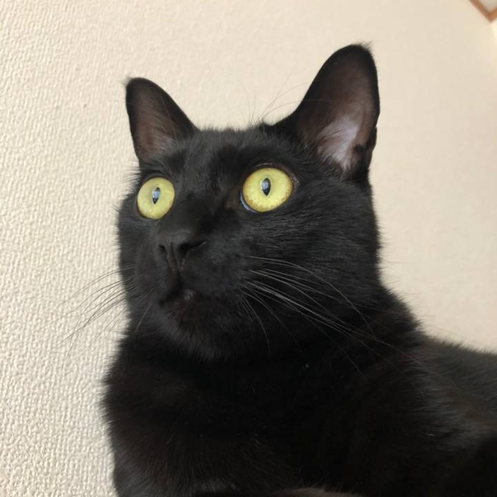 791f2d14 6797 4c52 8f50 6769e5e5341d 1558133925450