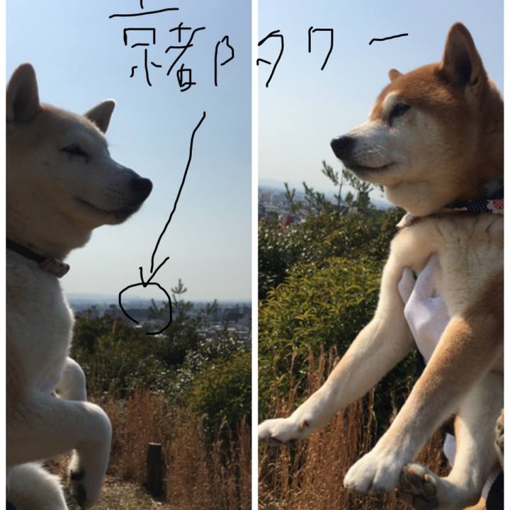 791f336c c4ff 4ad8 b2fa 8c336424f2ad 1521011413705