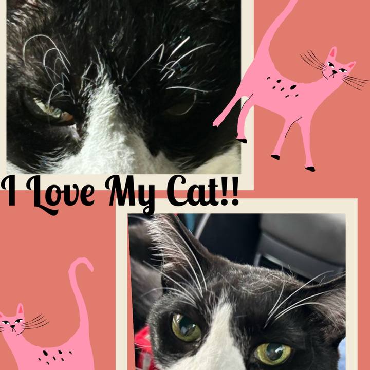 791fbdf9 78cd 43aa 89d7 02dc64f25d79 1765698397901