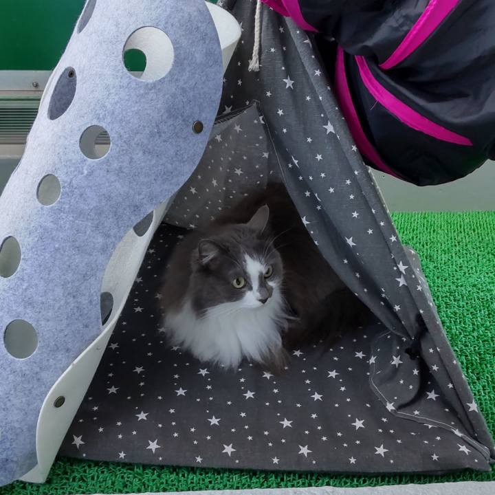 791fcf4e 2ba5 4bab b604 dd2c933cec4a 1714000430336