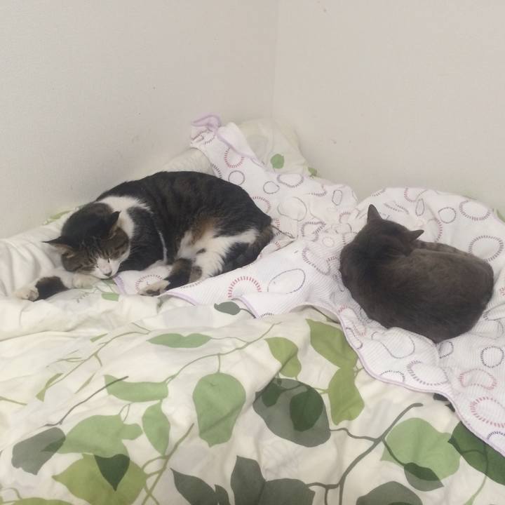 791fd223 e7c4 46fb 9f0e 8c9796eee96c 1511407757491