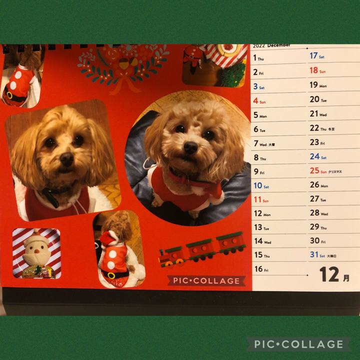 791fec61 050a 4123 b00a a5f8878f8fbd 1670064739561