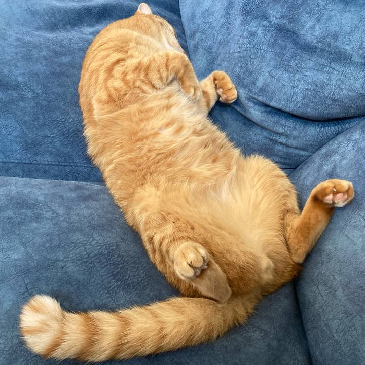 7920850d 62ee 4c46 a911 6c5b02ebc5f2 1758860129925