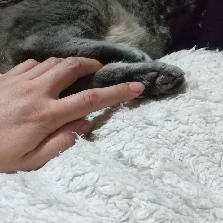 79209dd9 54c2 4b46 ab50 fcccb0cf304e 1655032198371