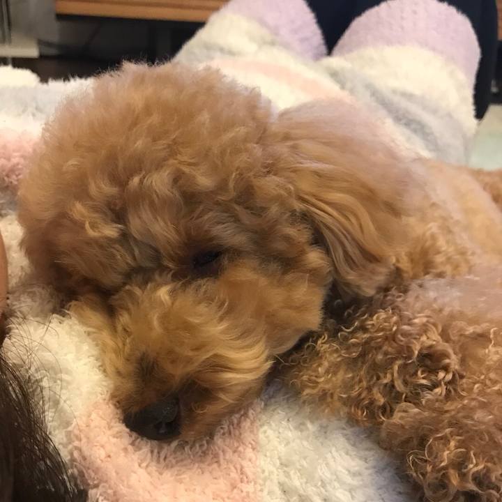 7920a8e5 54f5 4189 95be cb735fb1a74e 1518965322575