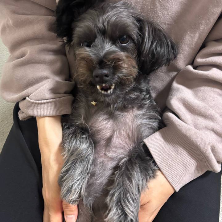 7920c164 796e 4b4f 80e9 c1667721839f 1762780239824