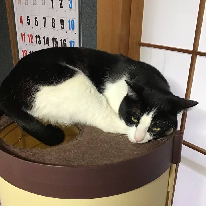 7920dace cc4b 462e 8617 fba794b781f8 1708850619355