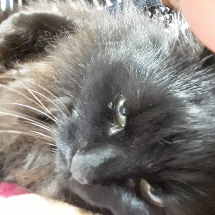 7920f9ec d30c 49d7 9f76 c9d5b4ca57a4 1521896875664