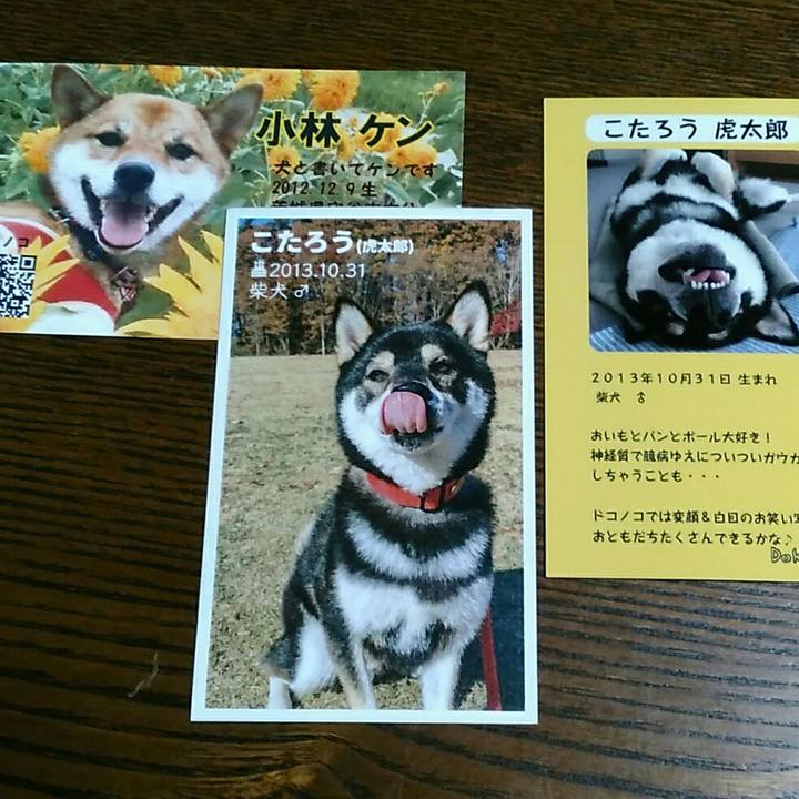 7921168b 6440 4c11 8161 fc02d8df5ecc 1558883845236