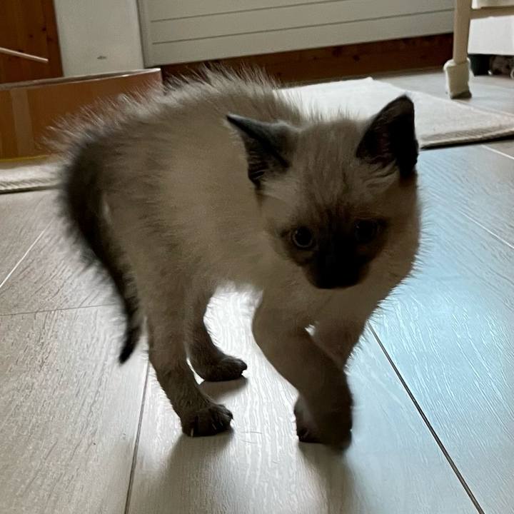 79212072 c7b9 4cc1 8388 99a2f99d2195 1686605940852