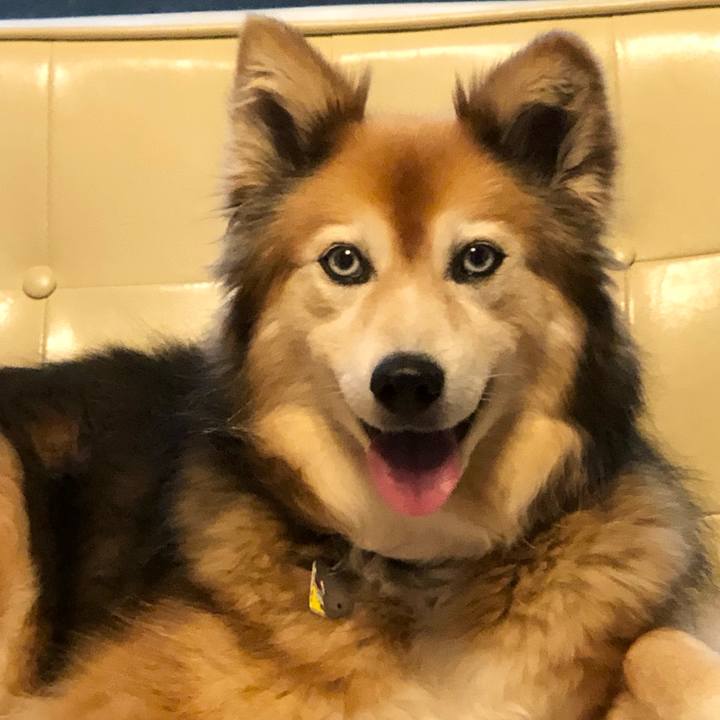 7921262d 7574 432f ab3b 90cedf36d649 1685715839320