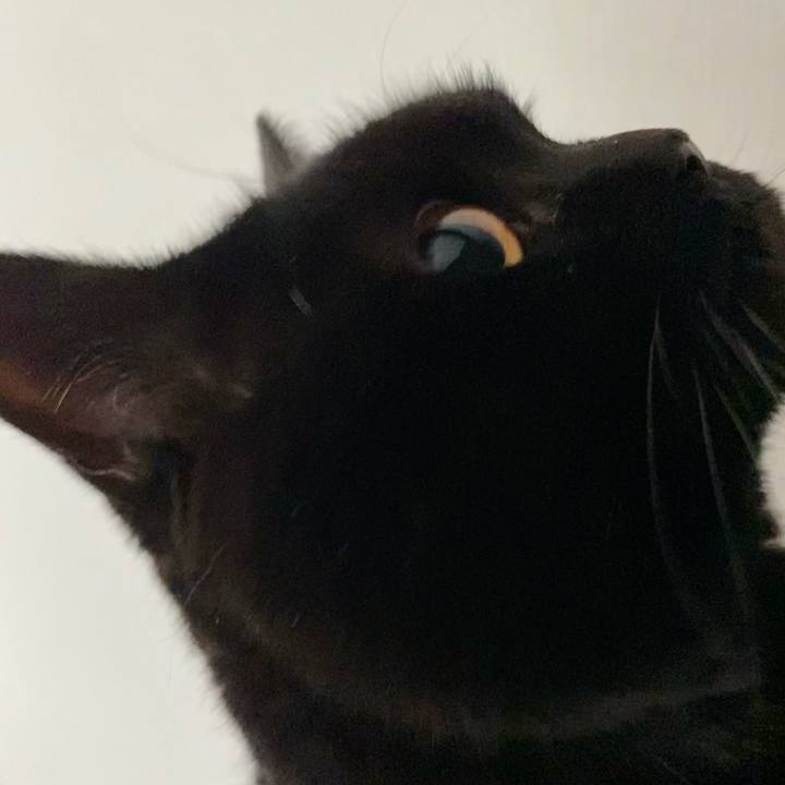 7921419b 507a 4888 8c5d d8d882d42e95 1678884920344