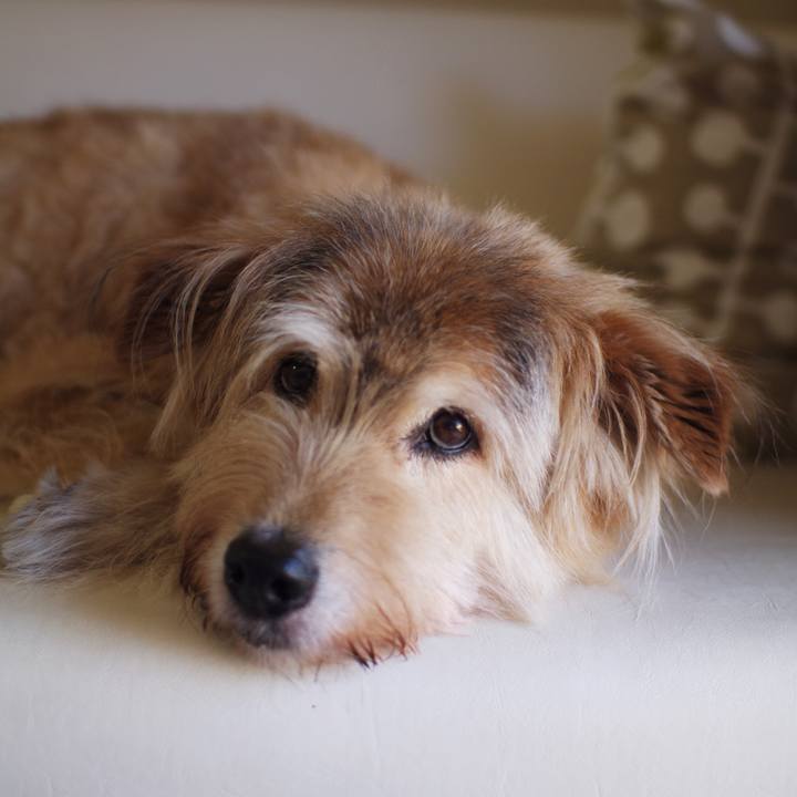 79217b2a 6710 49b6 93b6 00fe31530907 1660100242825