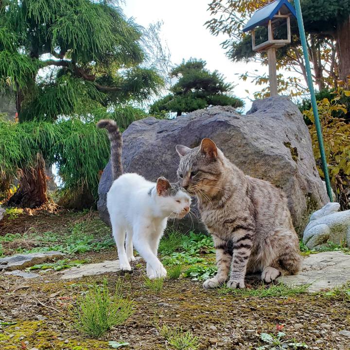 7921d3d4 4a4d 4b48 bda0 8ad8e3eff122 1698564013162