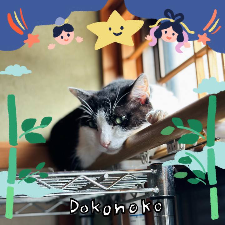 79221ab9 c713 4a63 8863 a6662cf8f593 1720919602522