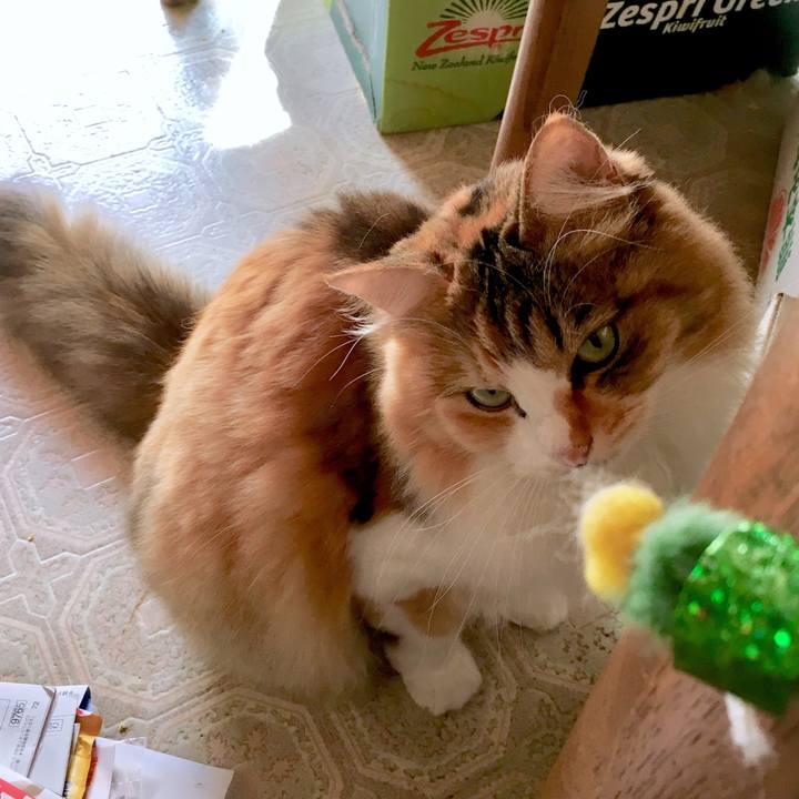 7922212f 8323 4704 9a44 cd053aad7750 1570072886516