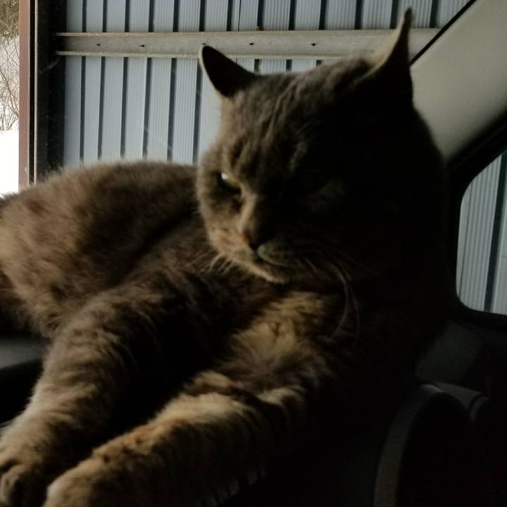 79223146 e769 4336 80b3 8a1c6336e7ca 1516939772467