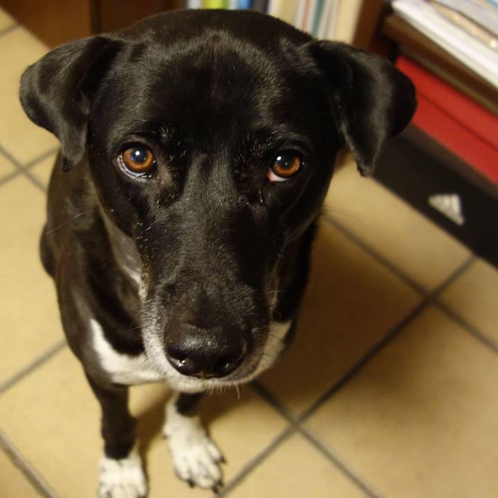 79226e47 35db 4538 8167 6a462344102d 1669683389513