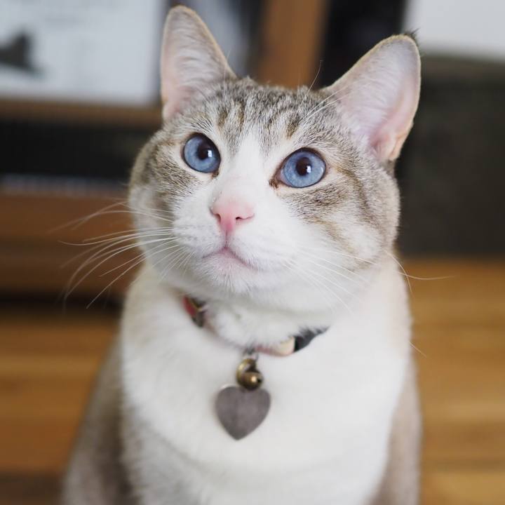 79229e99 ebc1 45e8 86bd 475e6ab07c4c 1618013579561