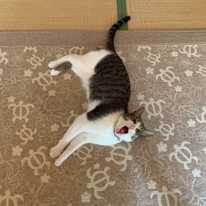 79234b1c 868a 438b b690 c6d2a5179e37 1564644855971