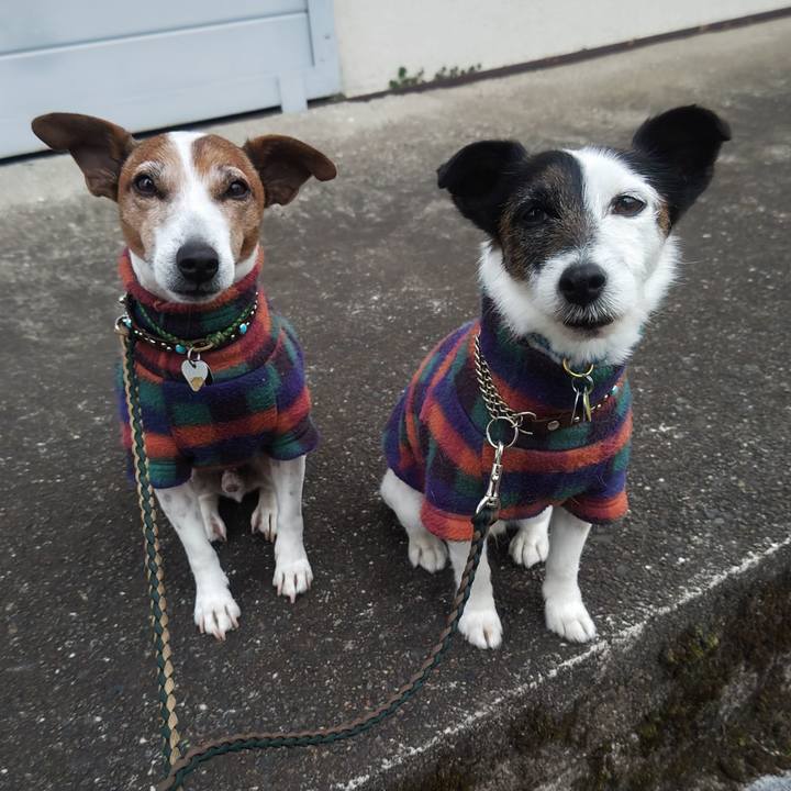 7923b738 fffd 4db9 9099 4bbacf80dd56 1771969221718