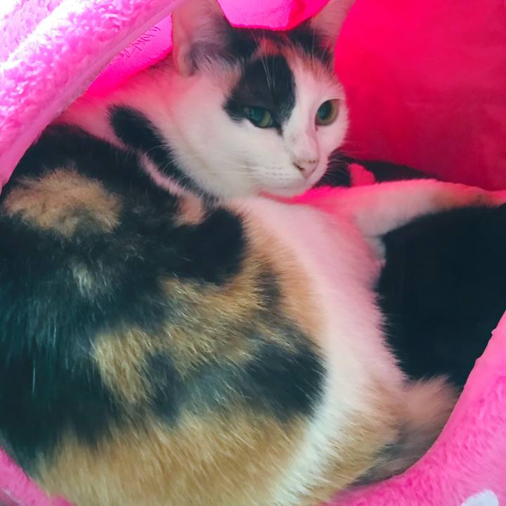 7923cb7b 86fe 4140 bc6b 4c1f6e3bb5b1 1507942588618