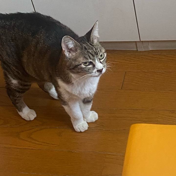 7923f2e2 11b9 41bf 8865 26e162d0fb14 1720477744202