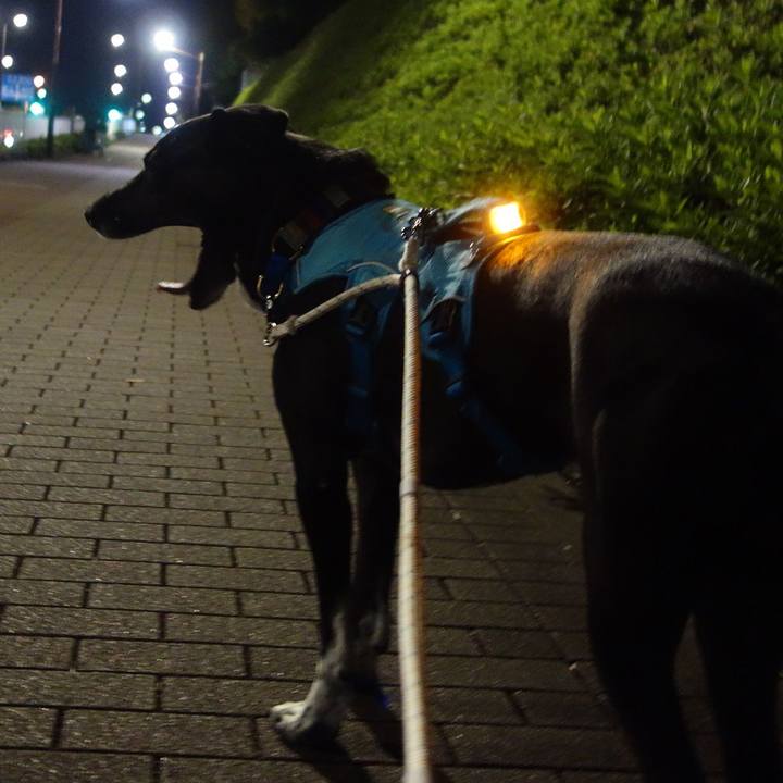 79240b57 fe4c 478a 952a 0bd160d1c41e 1635504227763