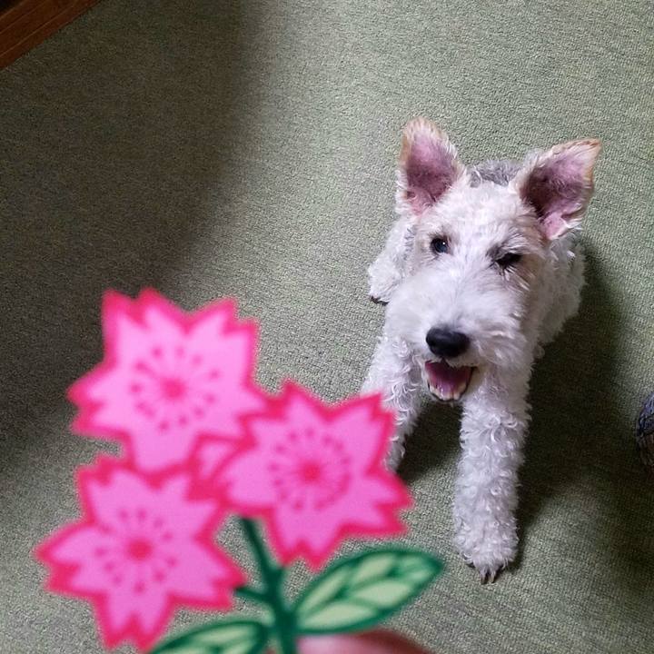 79241b79 2ed2 4597 b99c fb5d3e4910cf 1569651412400