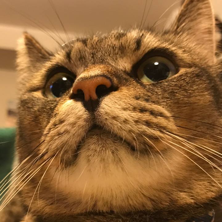 792427ff f66c 4437 b807 ee07fa7e549c 1535175453351