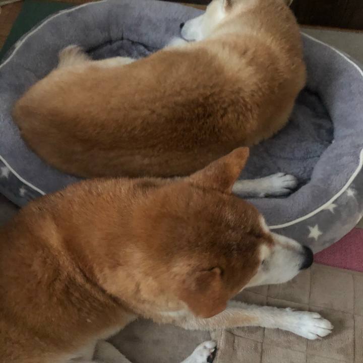 79248836 940e 4c98 9947 db233a684e57 1602842834228