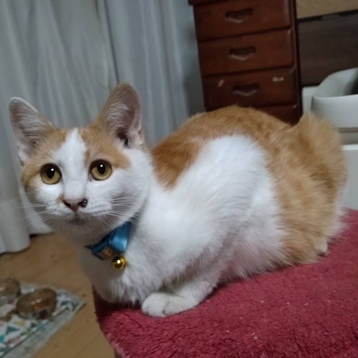 79249520 e32e 4ef3 aea9 b45b9ac6df07 1732433813667