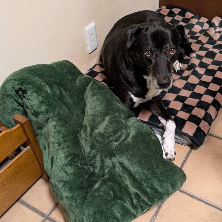 7924fce1 df02 4e9a bdcd 32398e9b15e7 1738493723207