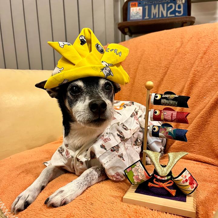 79250883 62e8 41f9 a18c b871258b4625 1651746473118