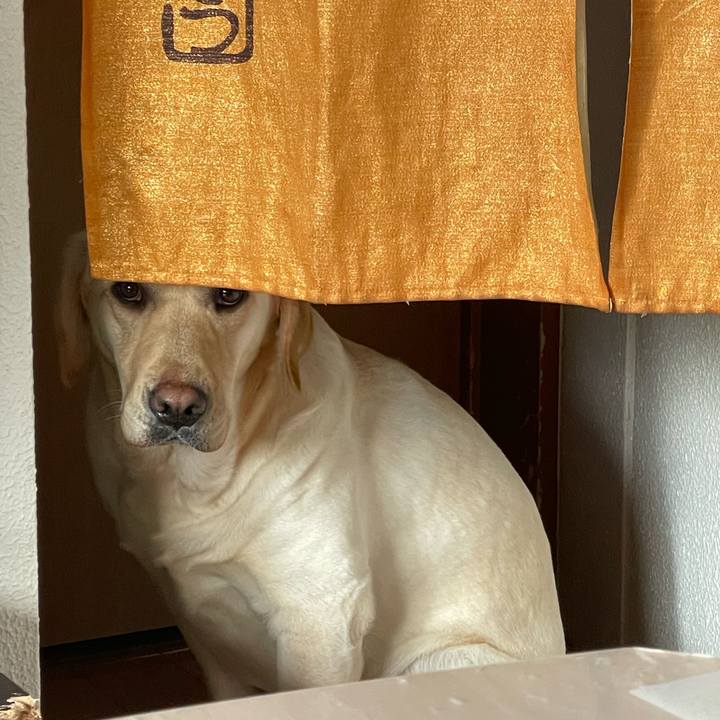 792509b5 741a 445a 8f8c 3b448e7f5344 1679967918095