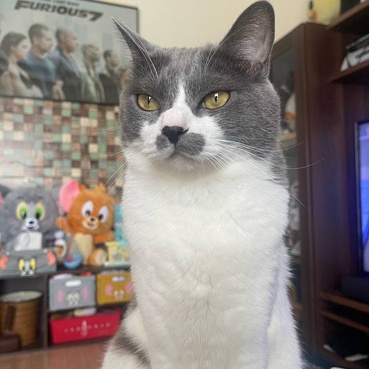 79257bbb 04d2 4478 9b2b 62092713cf5a 1694602213769